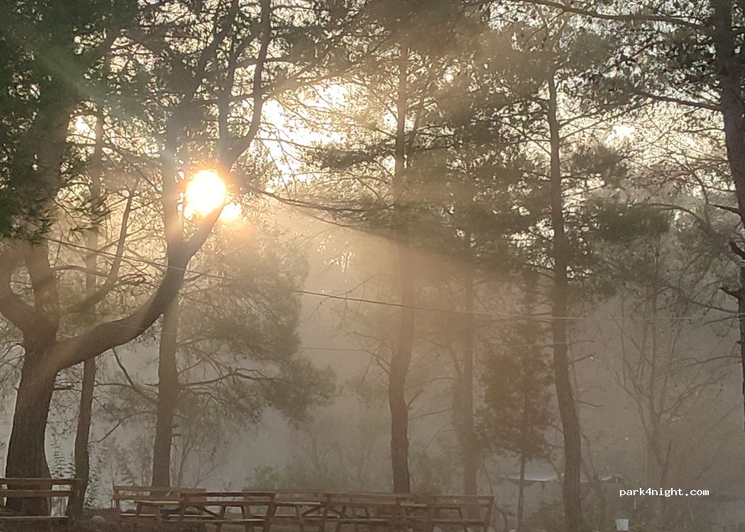 Flora Kanyon Camping & piknik alanı — foto 3