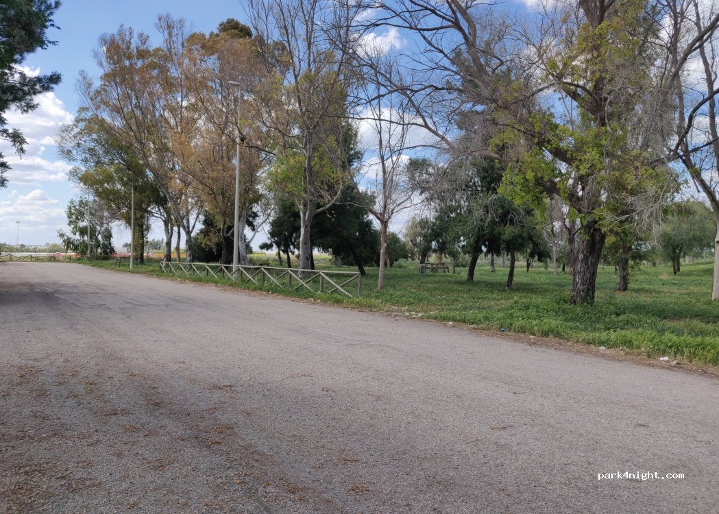(76015) Trinitapoli - Unnamed road — foto