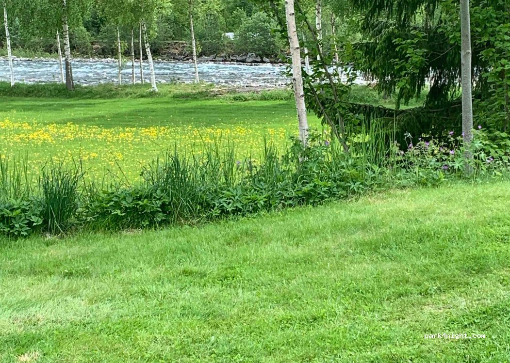Skoglund Camping — foto 4