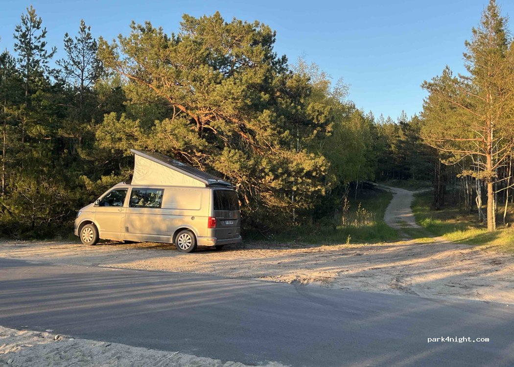 (93102) Neringos - 7 Žaliasis kelias — foto