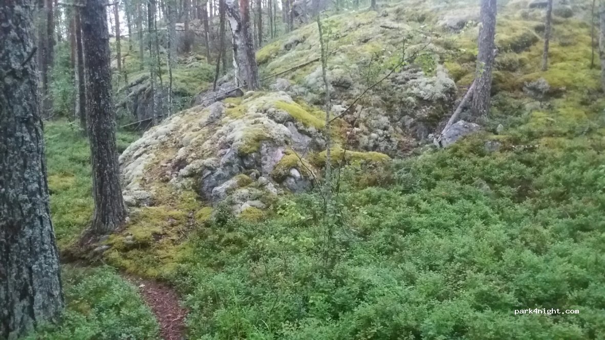 (58180)  - 275 Vääräntauksentie — foto 2