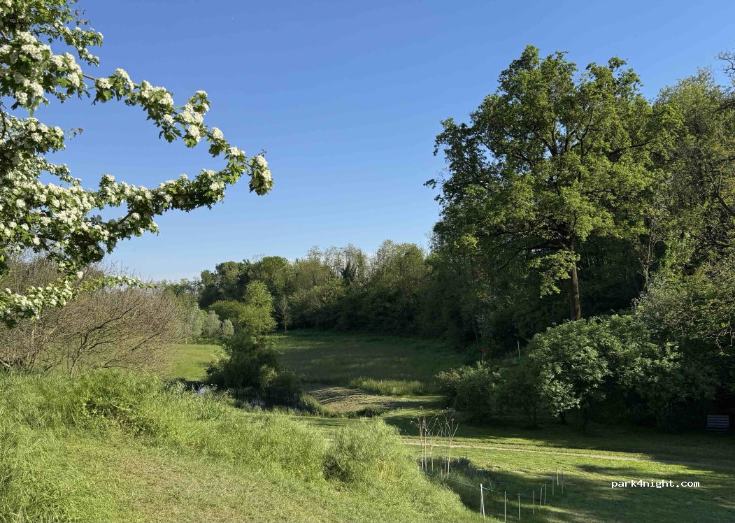 Cascina Torrine — foto 5
