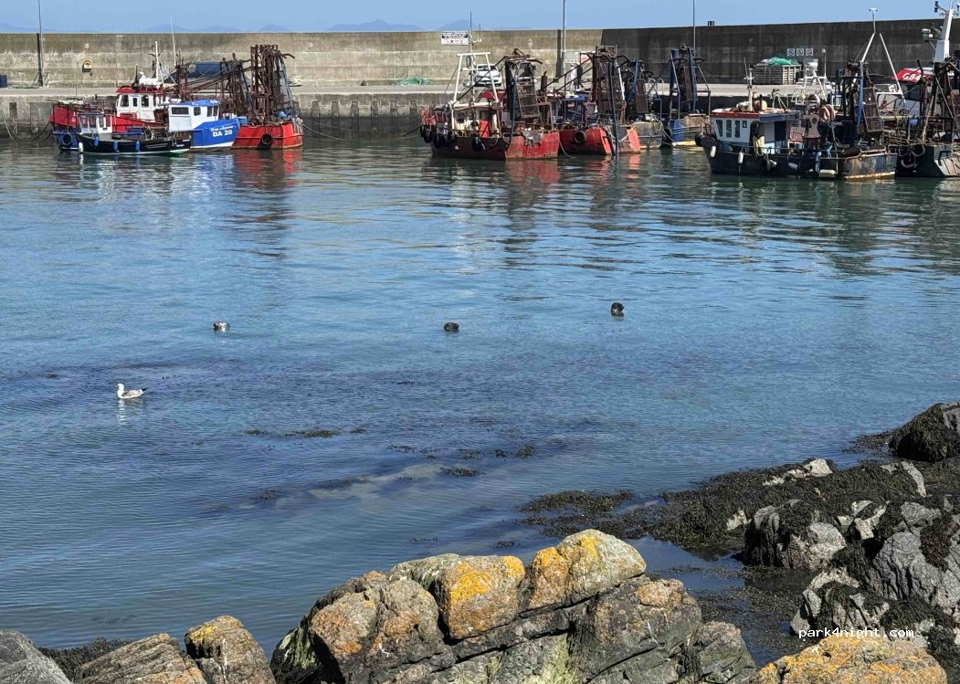 (A92 V97C) Portoriel - Harbour Road — foto 2