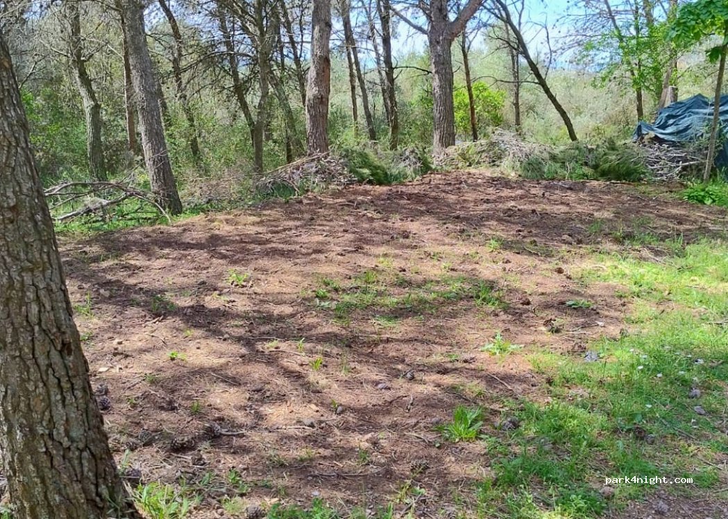 FIKO Atipical Farm — foto 2