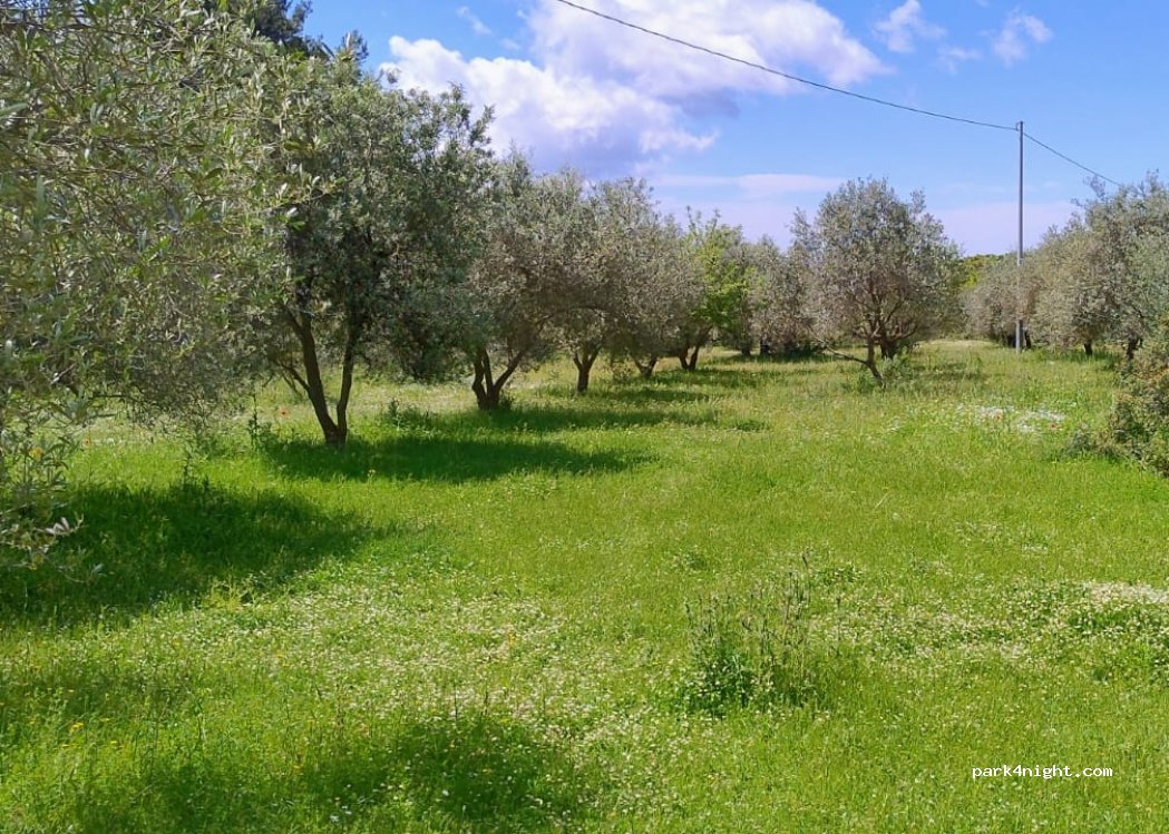 FIKO Atipical Farm — foto 3