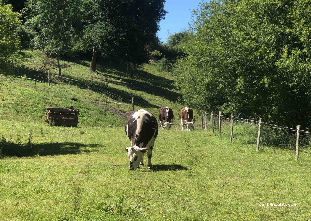 Lieu familial en pleine nature auprès des animaux — foto 3