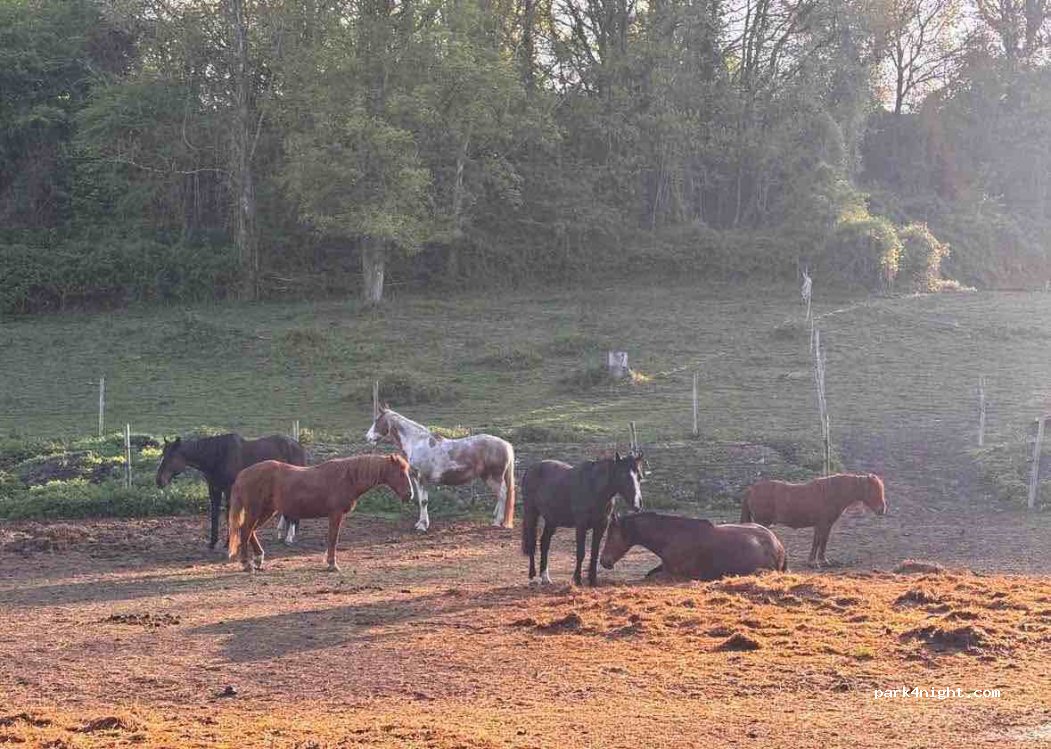 Lieu familial en pleine nature auprès des animaux — foto 5