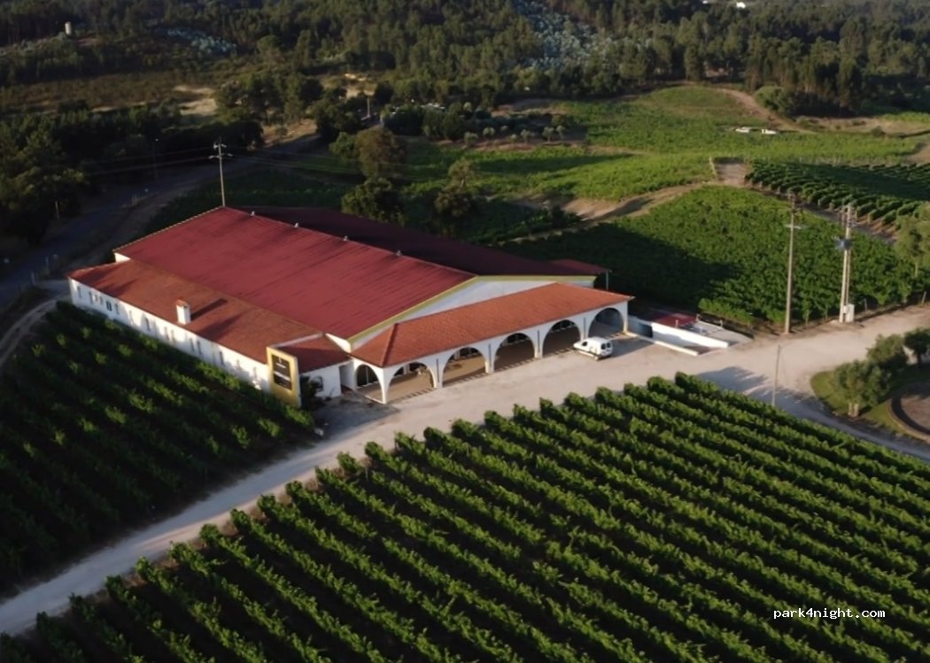 (2230) Sardoal - Estrada de Entrevinhas — foto
