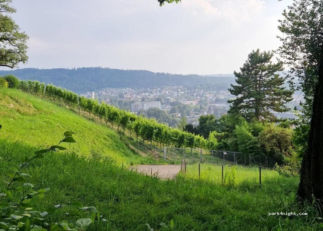 (8400) Winterthur - 5 Süsenbergstrasse — foto