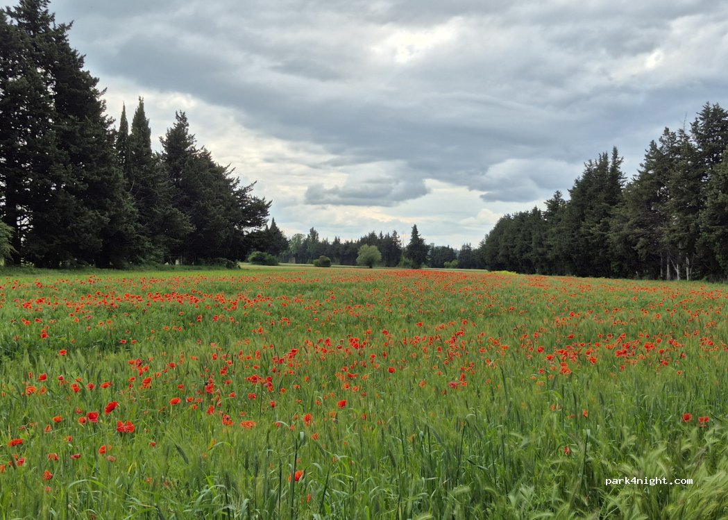 () Velleron - — foto