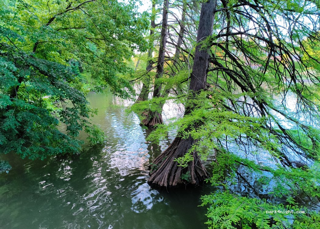 (5540) Szarvas - 1 Erzsébet liget utca — foto 5