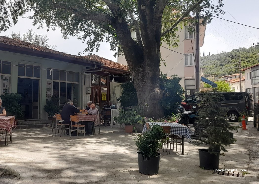 (48000) Menteşe - No:24 Cumhuriyet Caddesi — foto