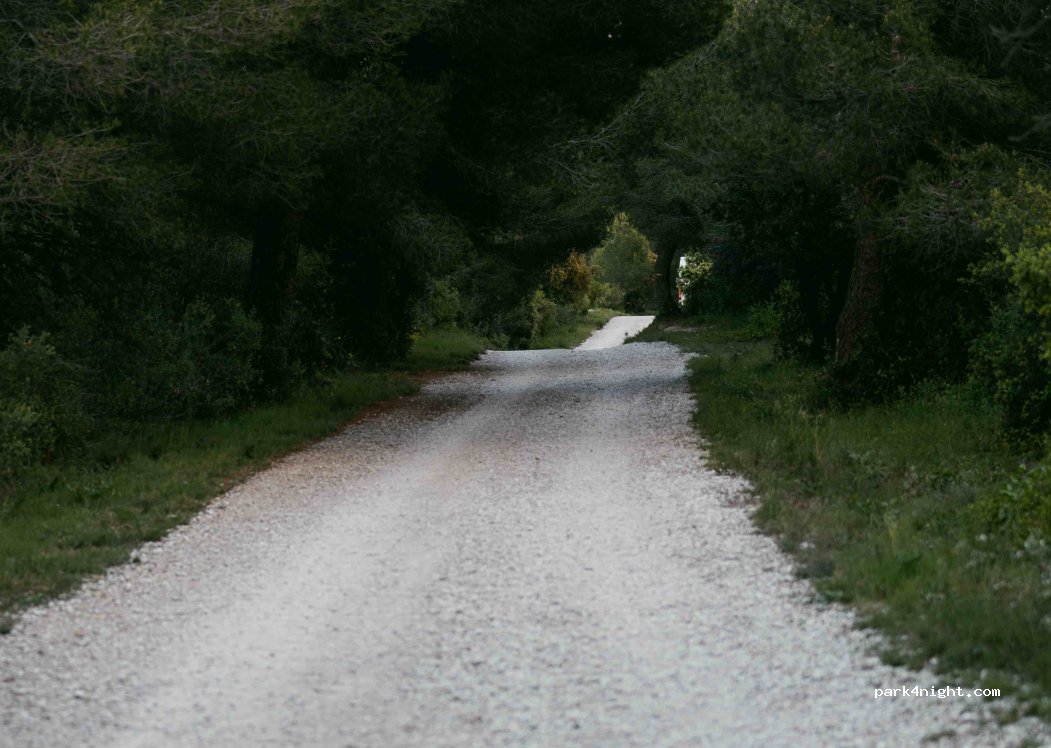 (13520) Les Baux-de-Provence - — foto