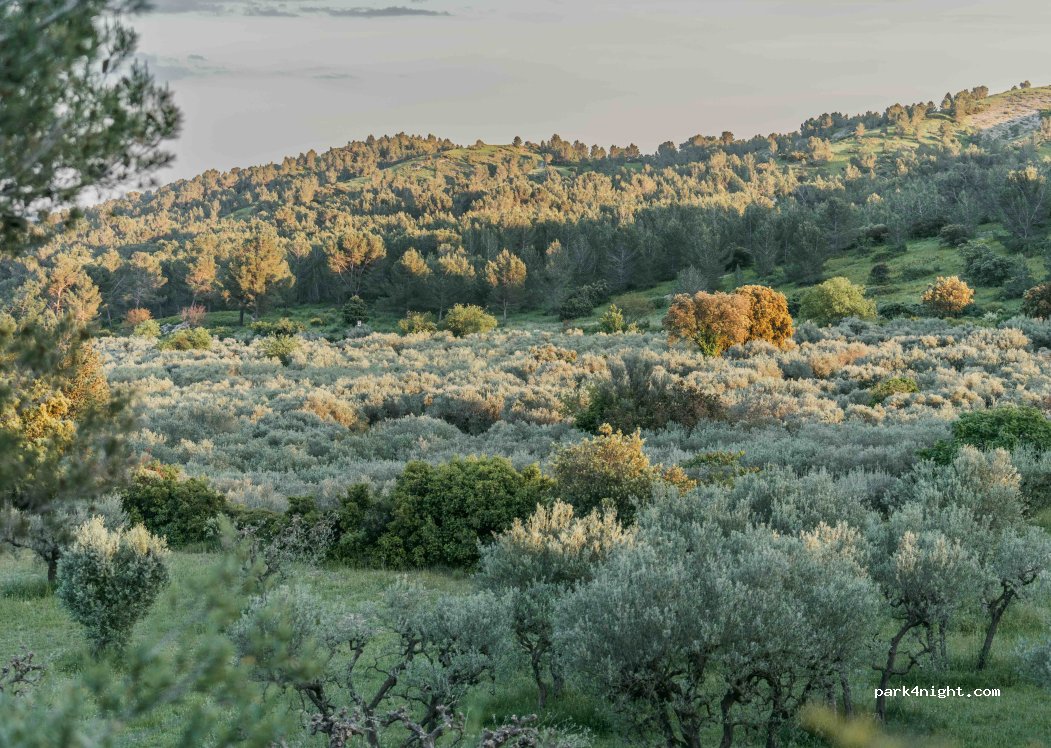 (13520) Les Baux-de-Provence - — foto 3