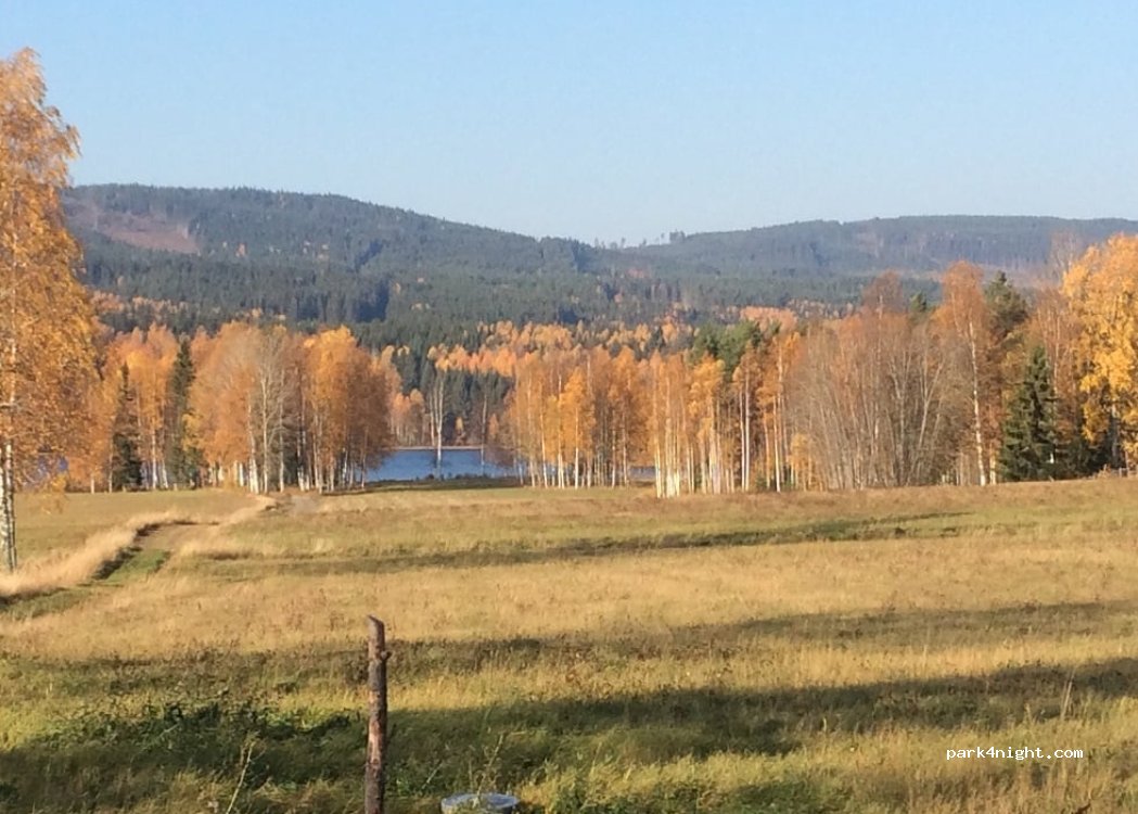 Gård Solhag — foto 4