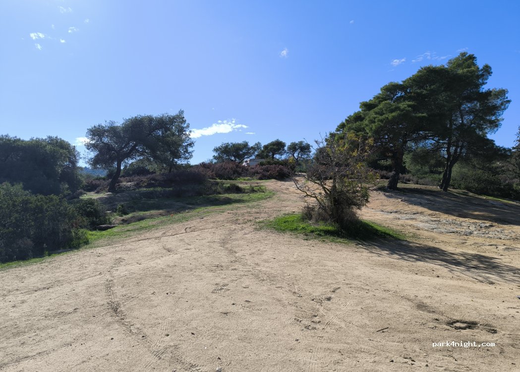 (630 78) Lagonisi - Unnamed road — foto 3