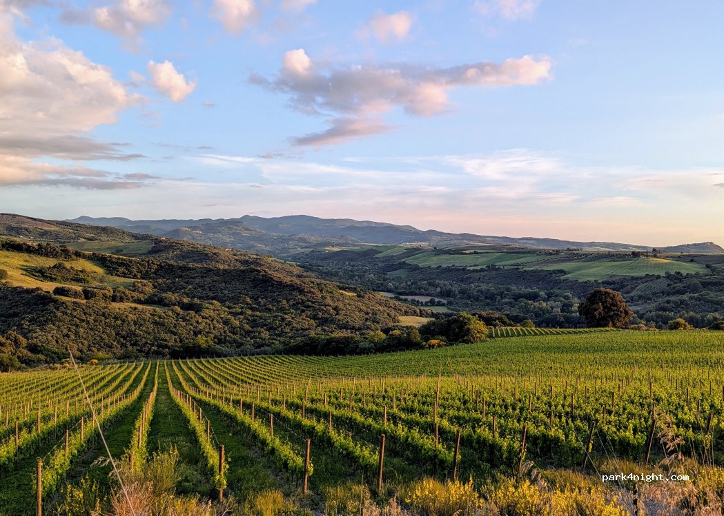 (53024) Monte Amiata - — foto
