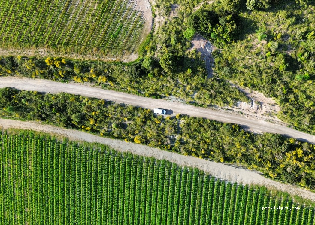 (53024) Monte Amiata - — foto 3