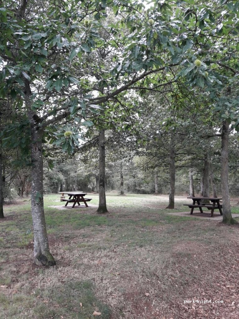 (45250) Briare - Autoroute de l'Arbre — foto