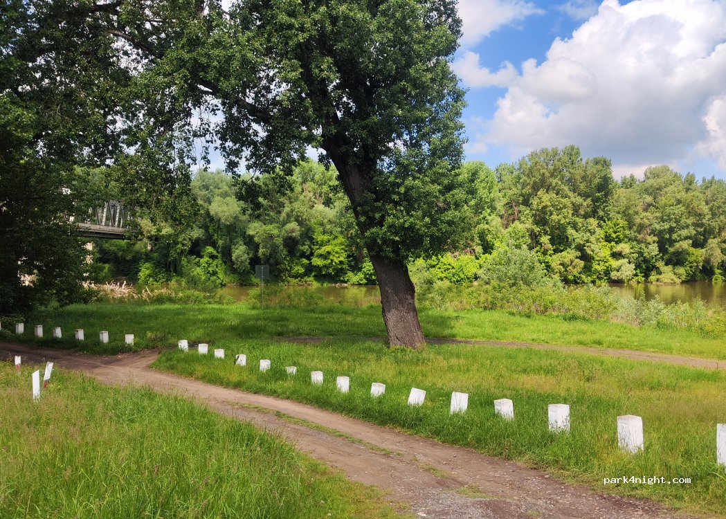 (4493) Tiszakanyár - 381 — foto 2