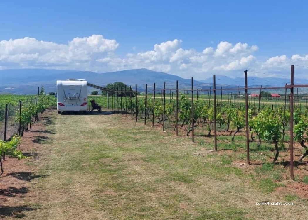 VineYardAggista — foto 5