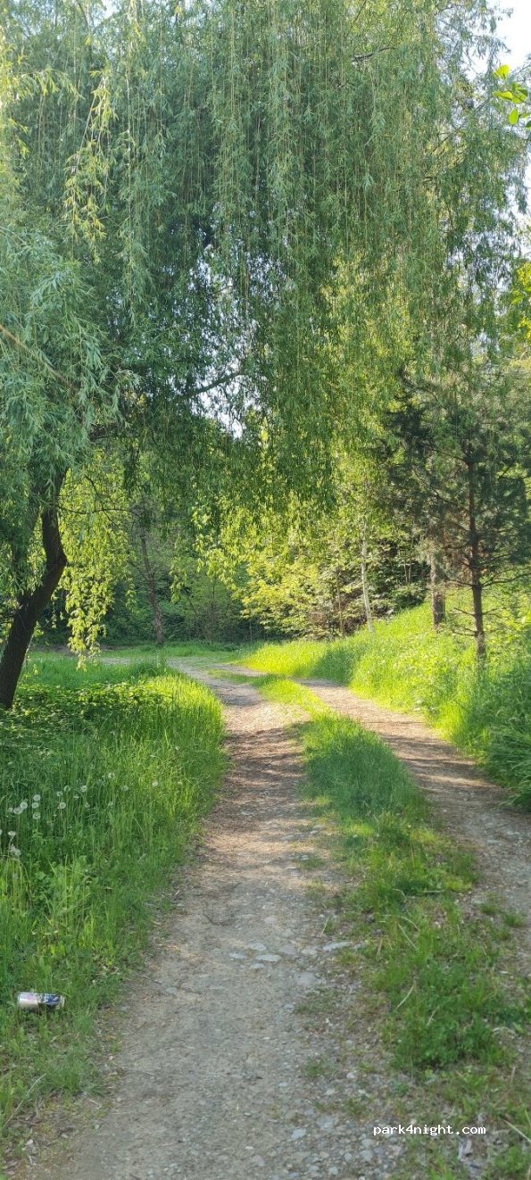 (32-860) Czchów - 4 Kolonia — foto 4