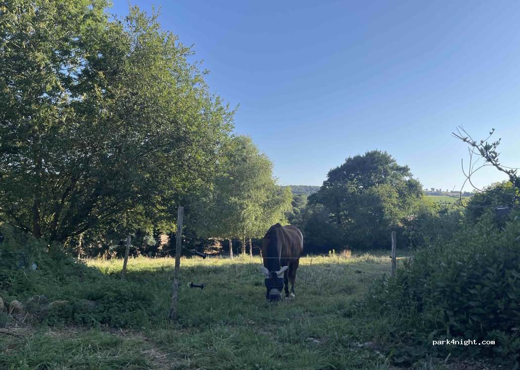 (22330) Le Mené - 25 Le Fresne — foto 3
