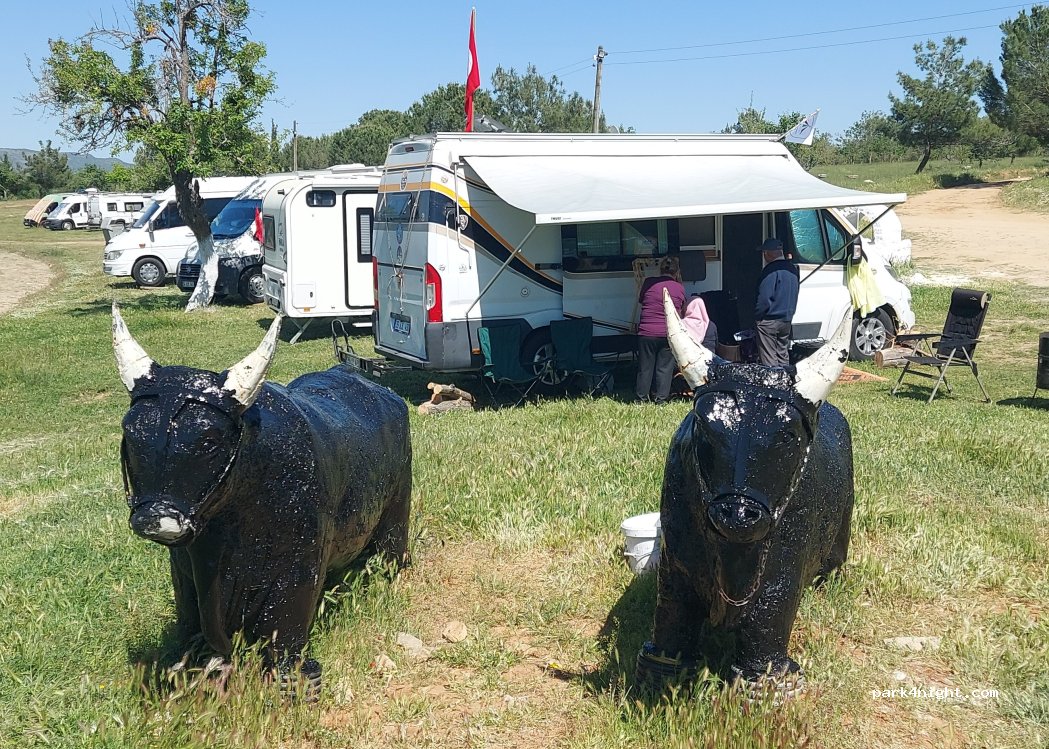 Eşme Belediyesi Kamp ve Karavan Parkı — foto 3