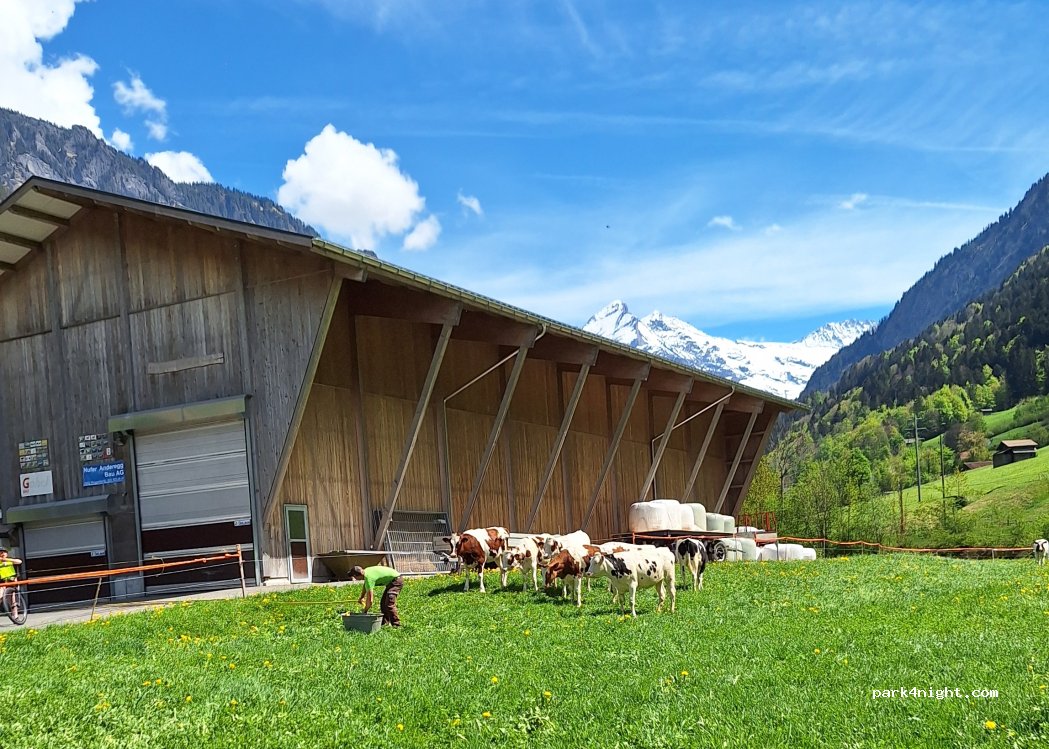 (3816) Lütschental - 24 Lauenen — foto
