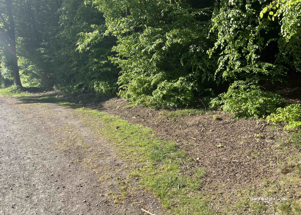 (56355) Nastätten - Unnamed Road — foto 5