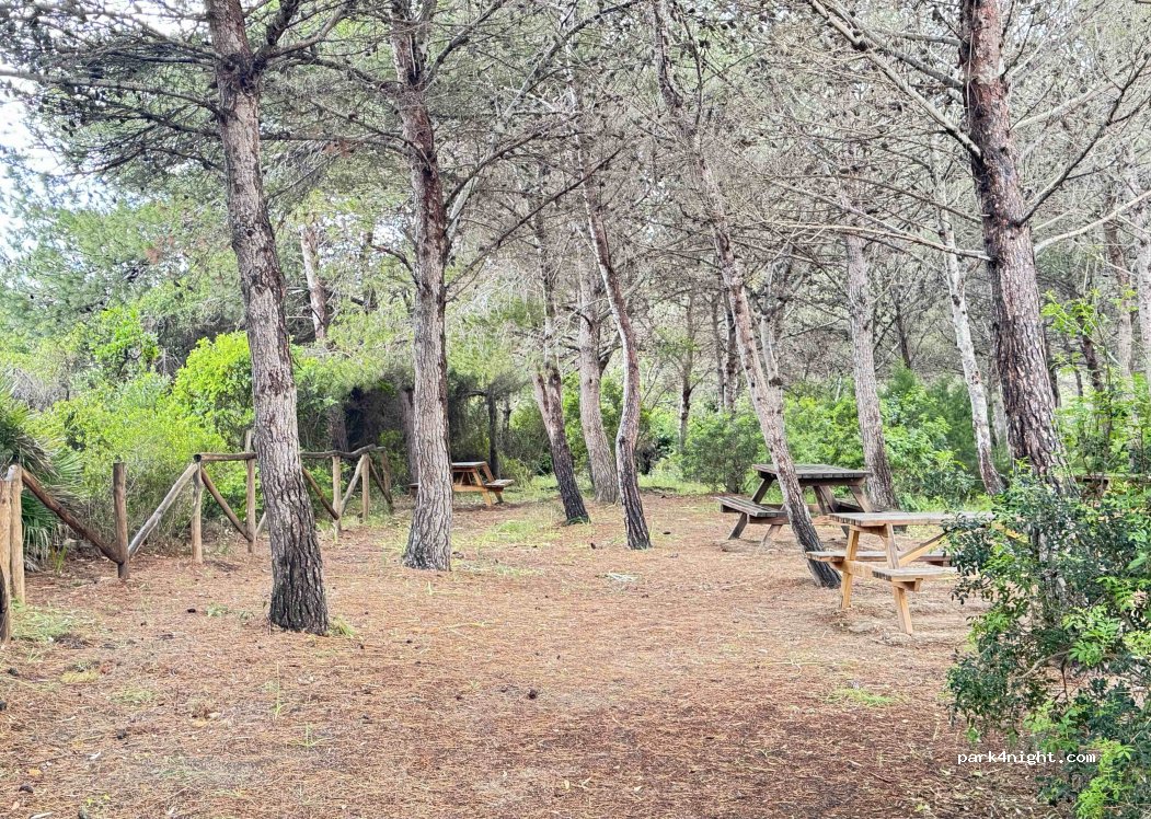 (08028) Orosei - Unnamed road — foto