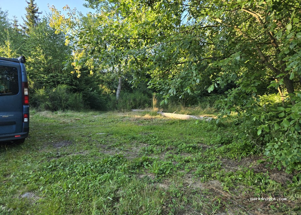 (88530) Le Tholy - 13 Route de Blongoutte — foto 2