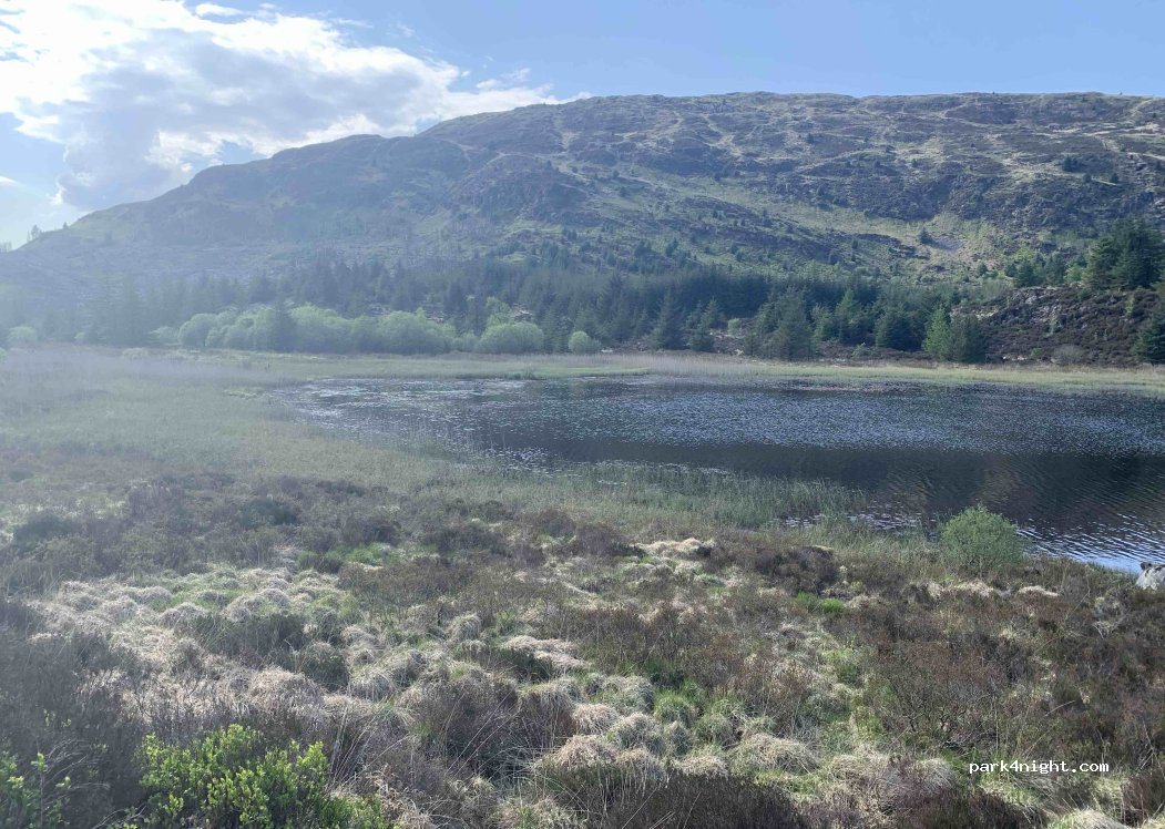 (DG8 7BL) Castle Douglas - — foto 3