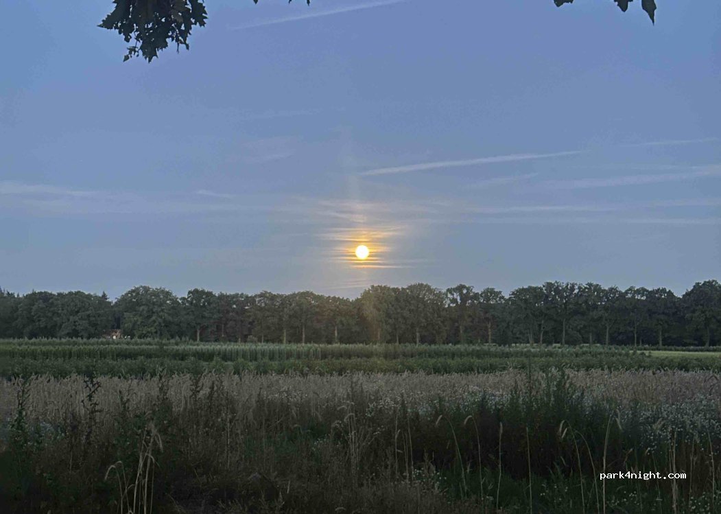 (7522 PM) Enschede - 115 Hofmeijerweg — foto 2