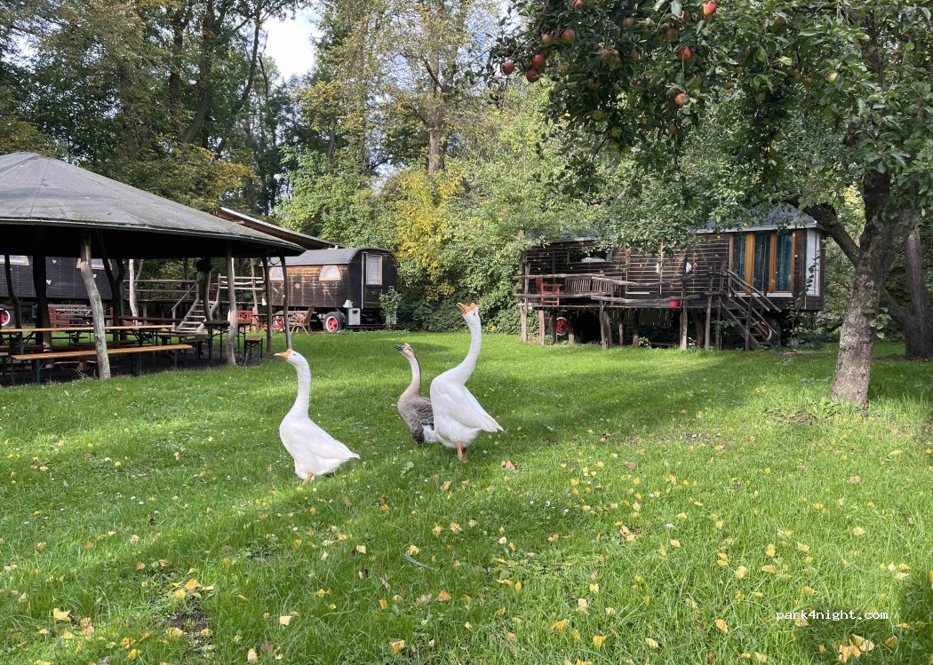 Naturerlebnishof Uferloos — foto
