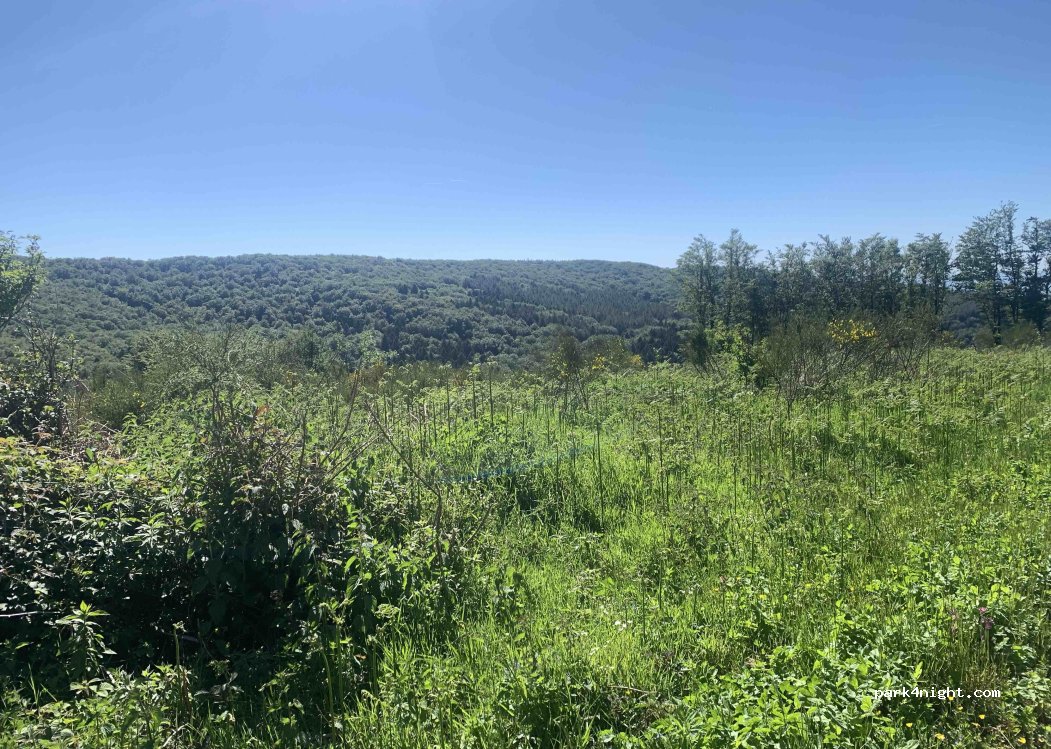 (81240) Saint-Amans-Soult - — foto 4
