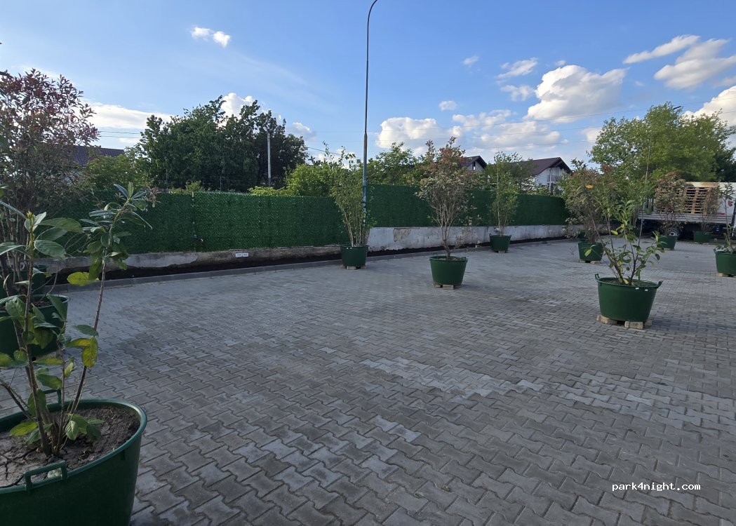 (710136) Botoșani - 80 Strada Pacea — foto 5