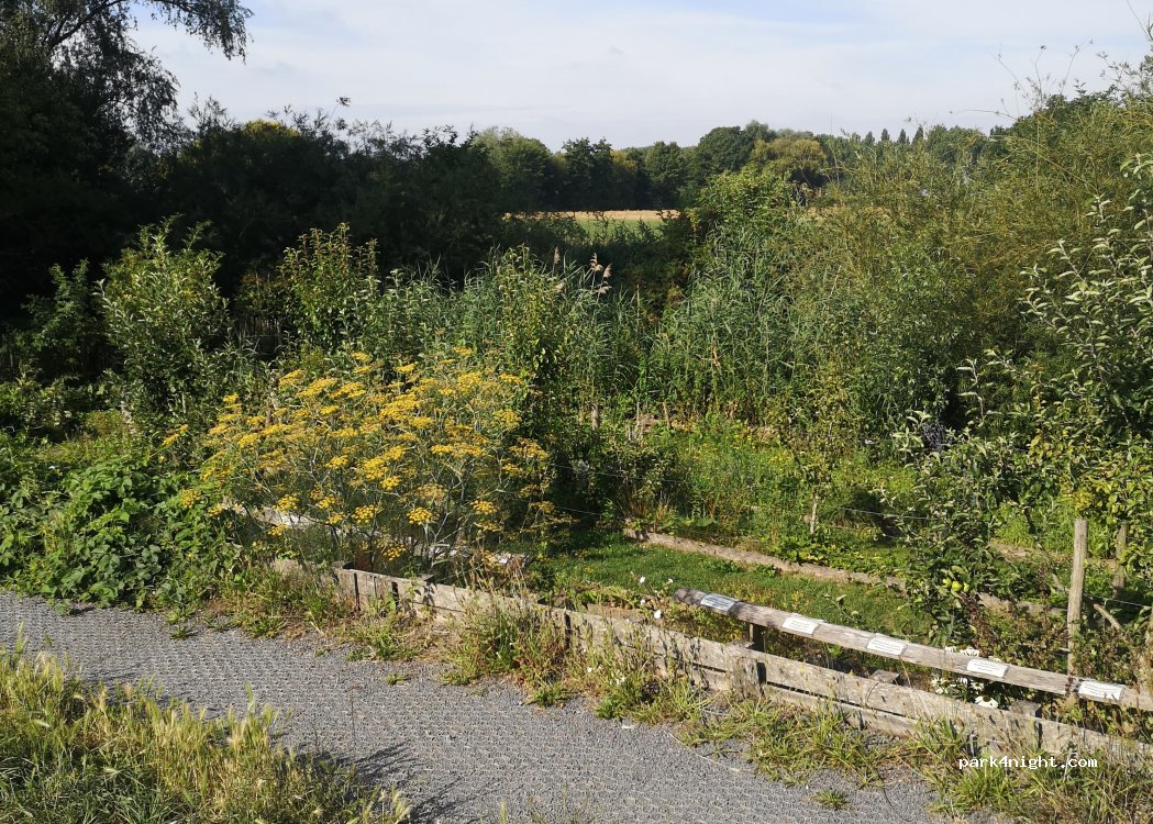 (7742) Pecq - 12 Chemin des Etangs — foto 5