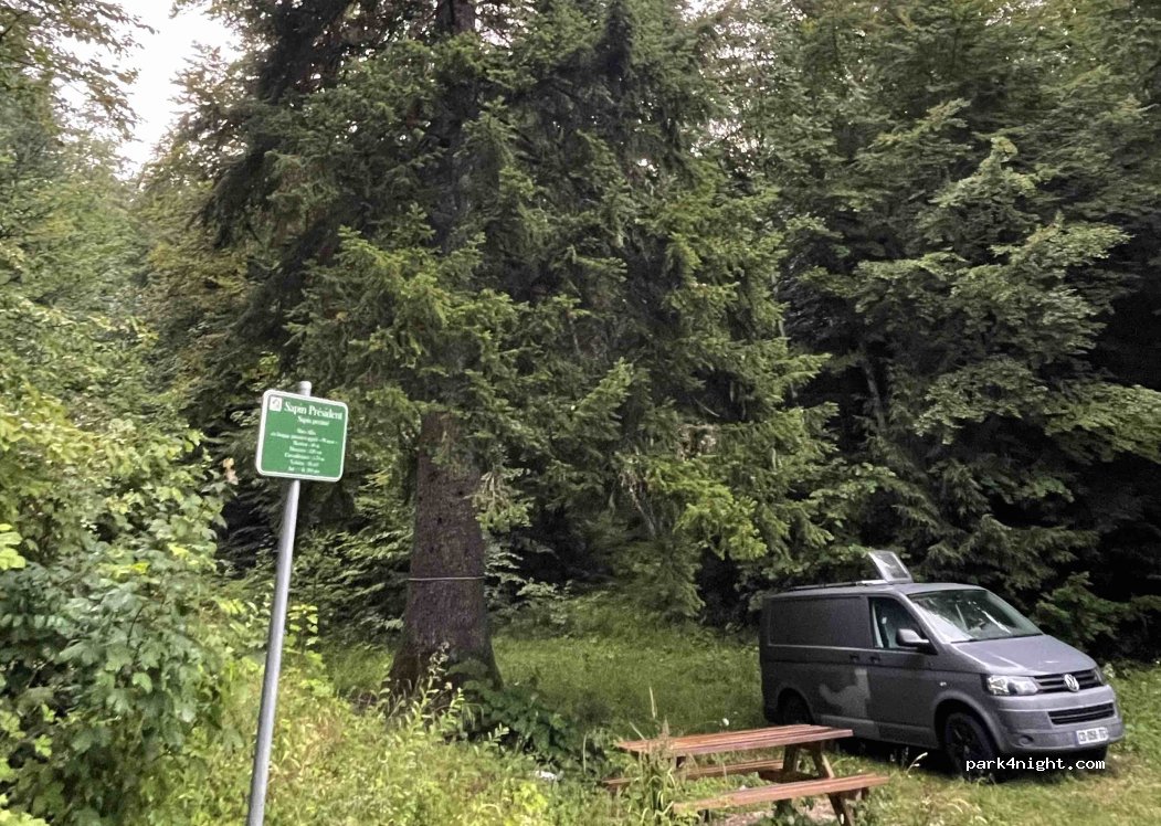 (39400) Morbier - Route Forestière des Baptaillards — foto