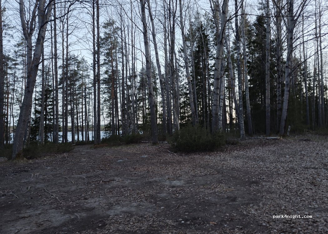 (905 91) Umeå - 11 PIPARBÖLE — foto 2