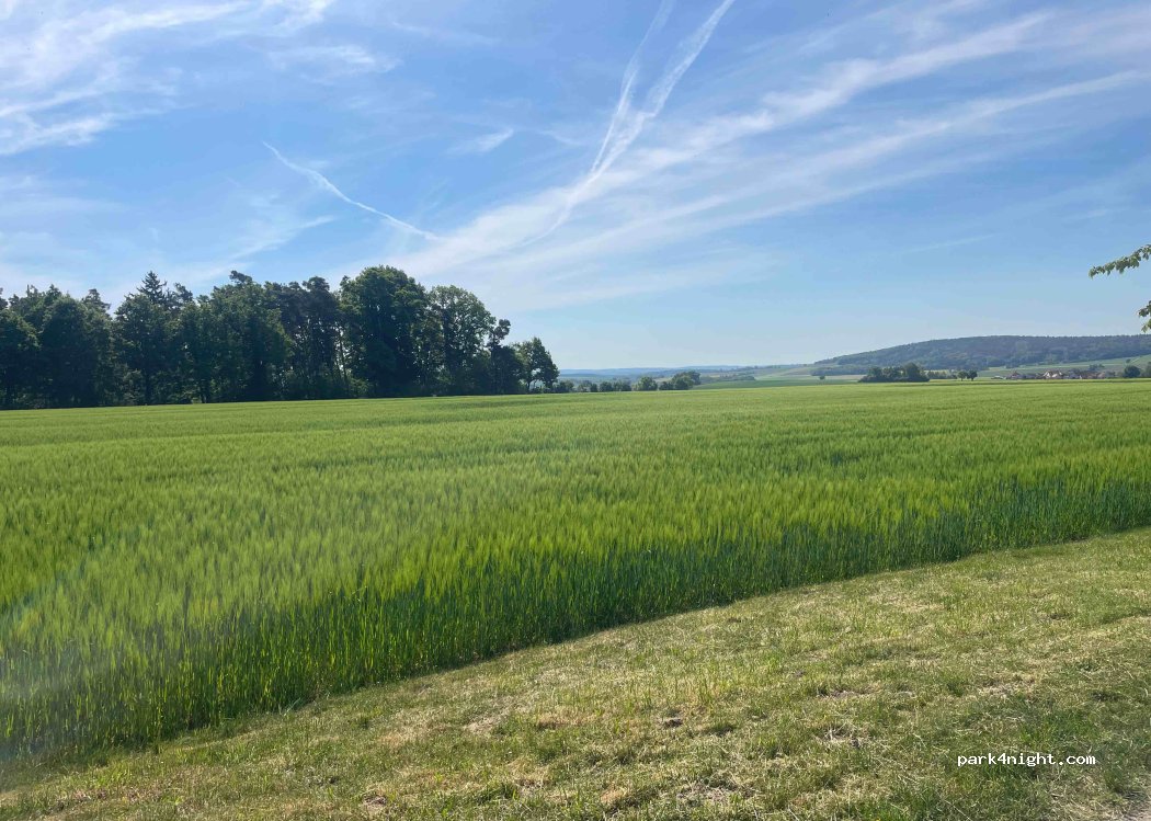 (91725) Ehingen - AN49 — foto 2