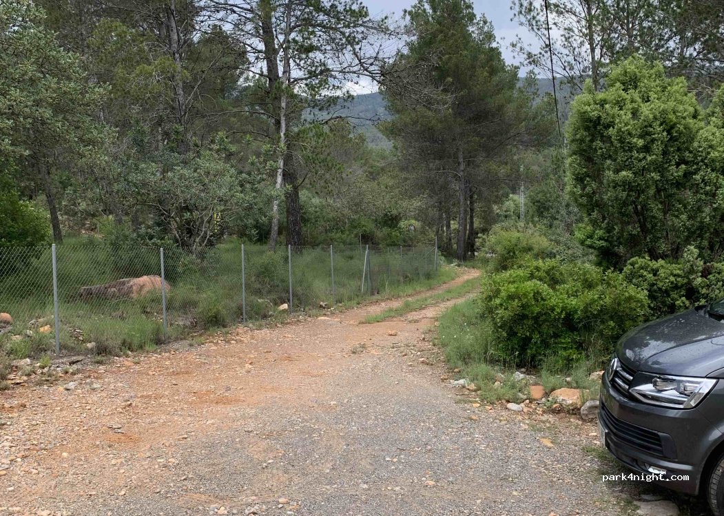 (12231) El Tormo - — foto 2
