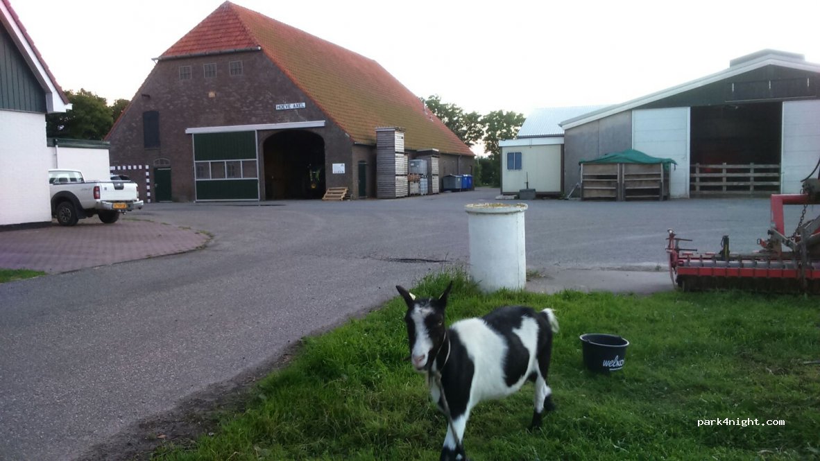 Mini campeggio Hoeve Axel — foto