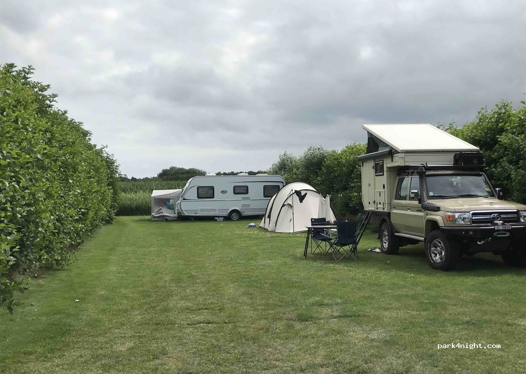 Mini campeggio Hoeve Axel — foto 5