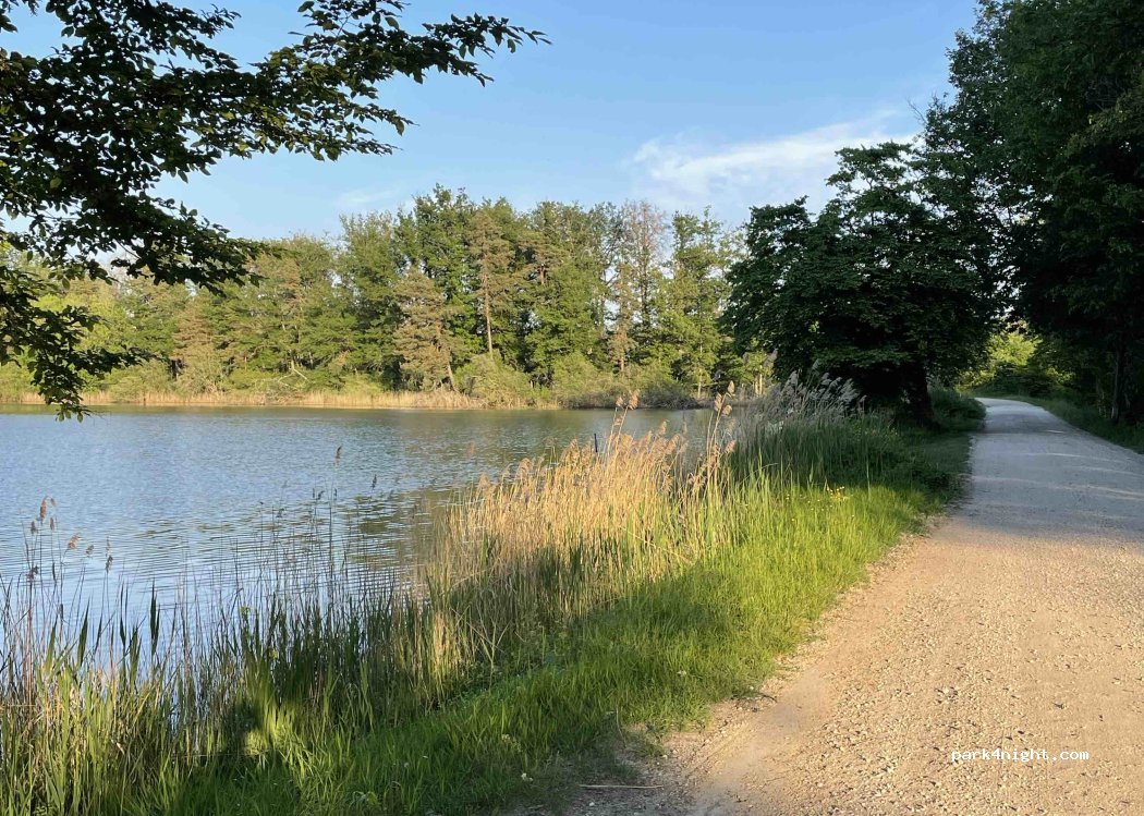 (45530) Seichebrières - — foto 2