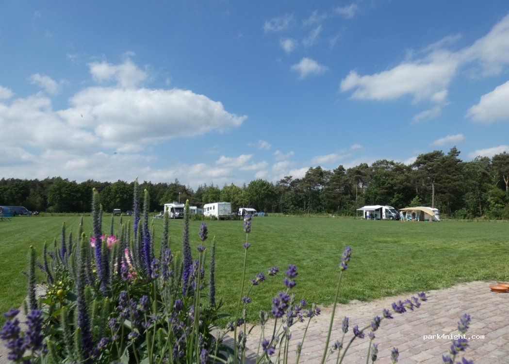 Camping Dennenburg — foto