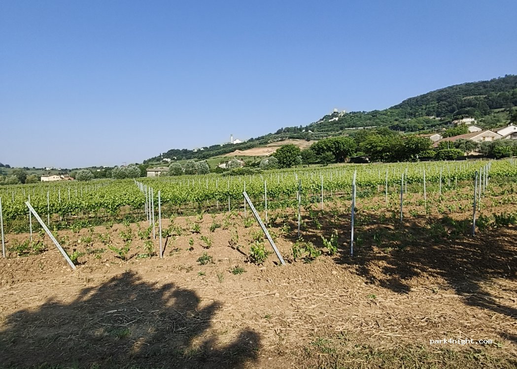 (36040) Brendola - Strada del Paliu — foto 5