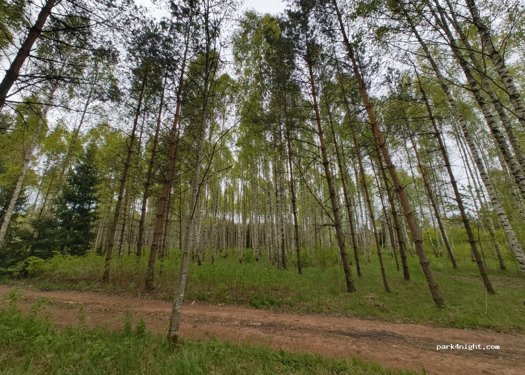 LabViet — foto 2
