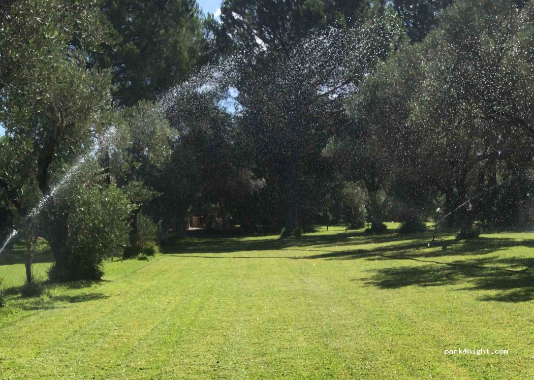 SJO Village Sardegna — foto 4