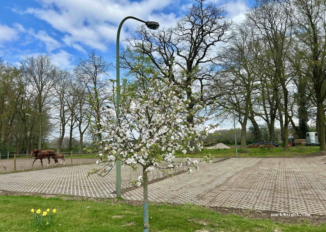 (49624) Löningen - 3 Zur Graflage — foto 3
